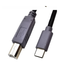 Factory Professional Production Type C Male to USB 2.0 BM Extension Cable